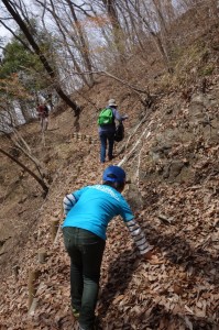 200595139_org - コピー