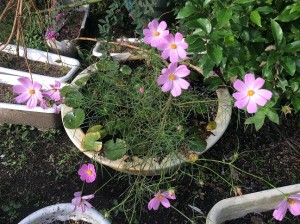 img_0605%e5%8a%a0%e5%b7%a5