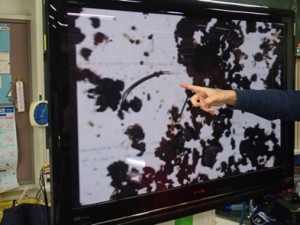 170129B9-FA8E-48CE-98C5-17F12948516F