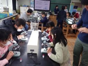 2BB34F8B-EC37-481B-812D-FA56F1AC4295