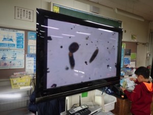 6B9E7DE0-4368-4DF9-8054-6C41E6599C7F