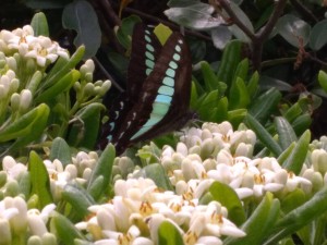 2437110E-CED0-445B-9652-778020F7C5A0