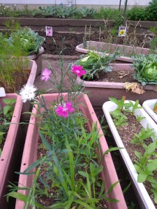 31414F04-9C87-45B7-970A-60BD2166F74B