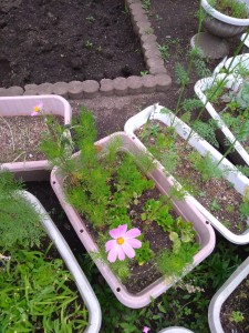 8F61F70A-488F-4F0A-8F3B-F95DE53BB902