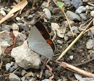 7AD3613B-556D-4F30-9D00-EF08329CD847