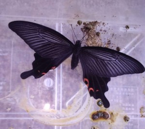 952885C2-8660-4231-BE43-8C3AB8FCAA24