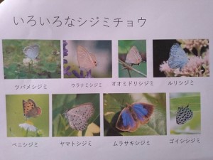 C75BED3E-300A-45FE-B4FE-FAC908D58607