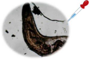 活動報告１－５