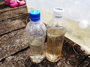 2597F413-97F4-4D69-92E5-E159AE839181