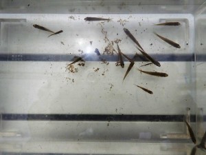 77E95FDD-5BF3-4E81-8A10-0D225B8D90C4