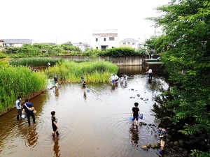 BF8B6A86-D8DE-4B57-830A-C7F51EB77308