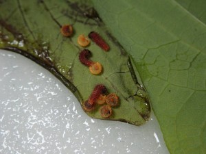 BD509D79-B6B9-4418-87DA-1DC858443CFB