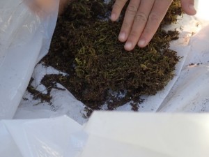 201B0BE4-F657-4993-AC4F-6AC3E6F7A3BB