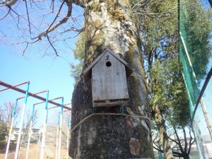 57A72B5C-D11A-4AD9-93EF-69DE5005DA05