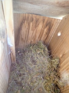 CAC1B0D1-35C2-4D50-B483-9F10C3498796