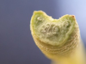 192DE0DF-01B0-4430-BC16-21E7370DA19E