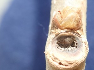 485AAA1B-1F74-4B98-95A9-99FF24B15086