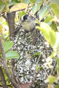 43145FBE-9724-4432-A522-83280443C0D4