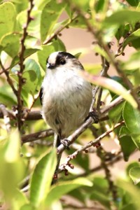 51BB7E39-0735-4E69-8A5D-7FC82F10EAA8