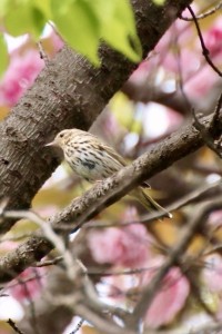 D3F2DB50-5C43-423B-B80D-3D2AD94B8A15