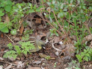 F9A10DBA-ADC2-4EB3-8CB1-5AB8E76FF8D5