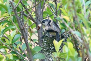 28A9658A-58C6-40C4-AB5E-A2A3B8EA4E8F