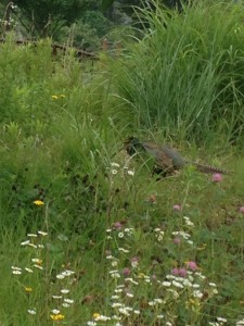 45F9E046-D43E-4878-8A8D-A62B93BCFAF2