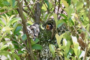 485E4EB3-FBC7-40EA-9A69-983E2E6075A3