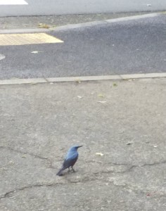 81FFDA18-7D57-40AF-8717-C516BE0EA10D