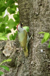 A9BE9846-94AD-4626-A67F-7ADADA8685A6