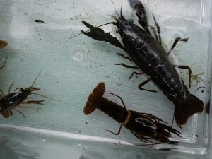 27B95D95-0BA3-4048-8C75-243C79381296