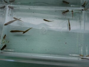 3DFE57AA-5430-4082-AAE6-A13D09D710E4