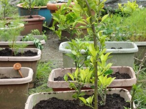 B7A4E2E6-84A1-4C43-AB08-47BCCC600F9B