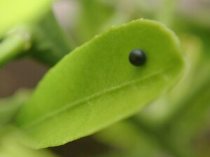 D8AF3978-4662-45FC-BCDD-DA7AFDEE8D31