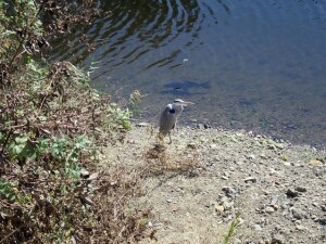 796AF5FA-9F3E-4F42-BFEE-80F7144426B8