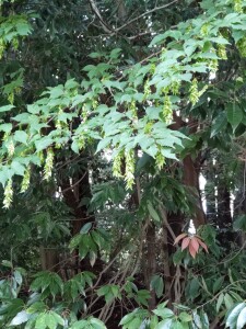 18AEE0B2-6F78-4B26-A810-78075F42F77B