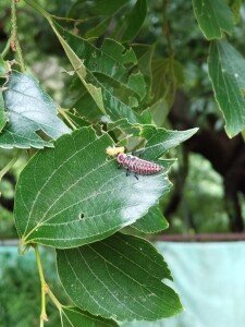 B7DA2419-078B-432E-A394-5280A4D44B97