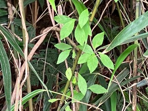 B80221AA-0FE1-44EC-8AF9-F5FF1D0D7B62